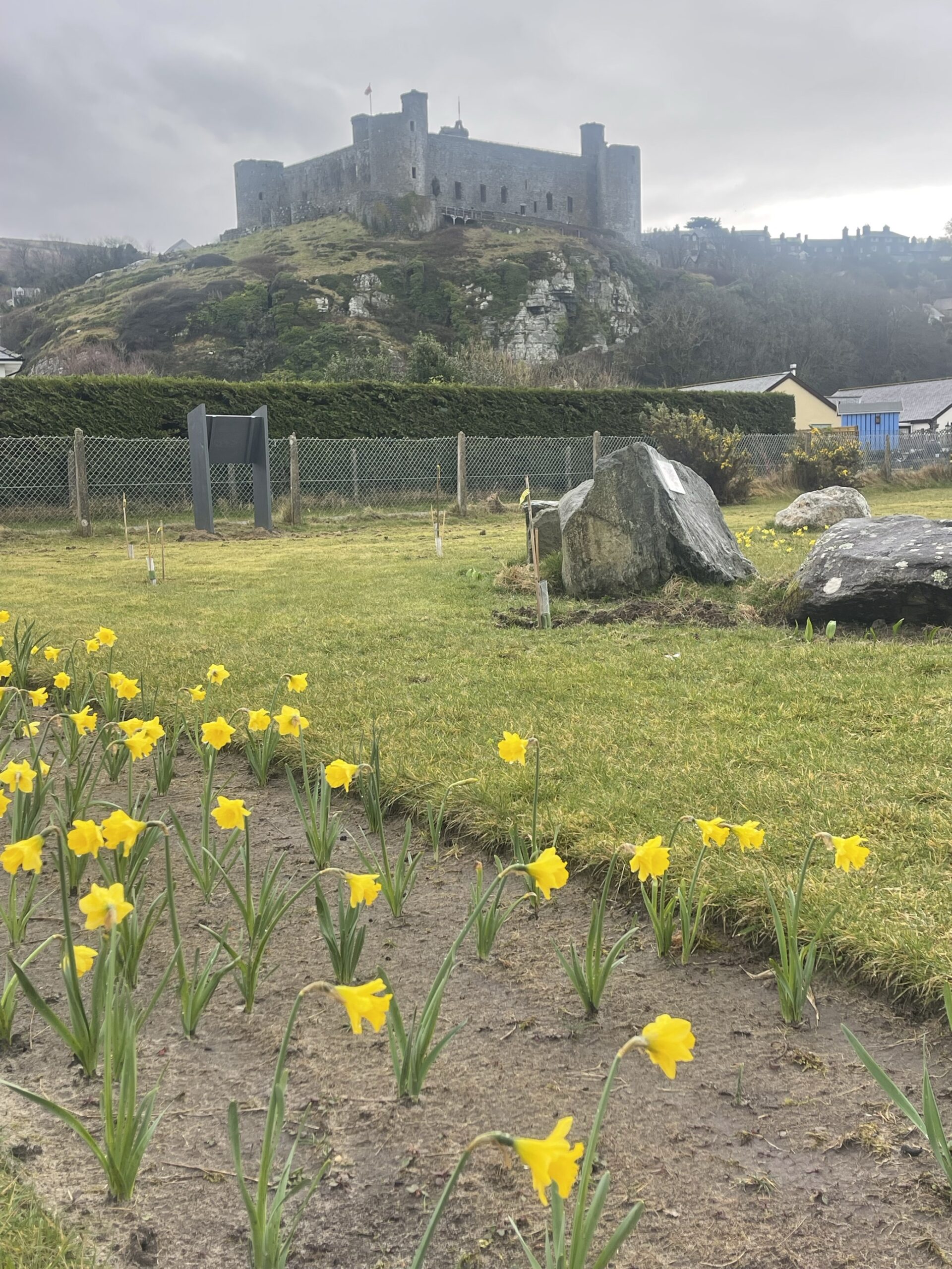 https://authority.snowdonia.gov.wales/wp-content/uploads/2025/04/Image-22-scaled.jpg